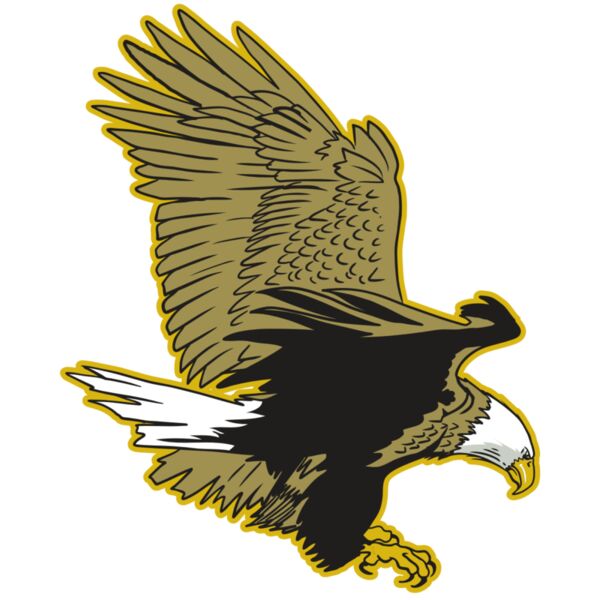 AR10 EAGLE 01 RQC Thumbnail