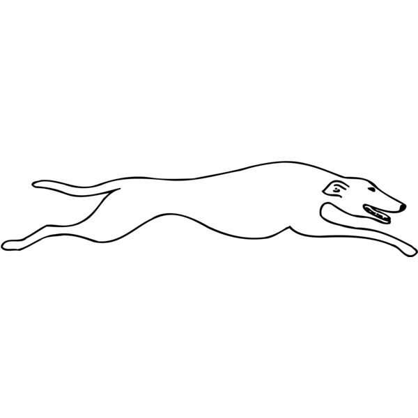 DOG078 Thumbnail